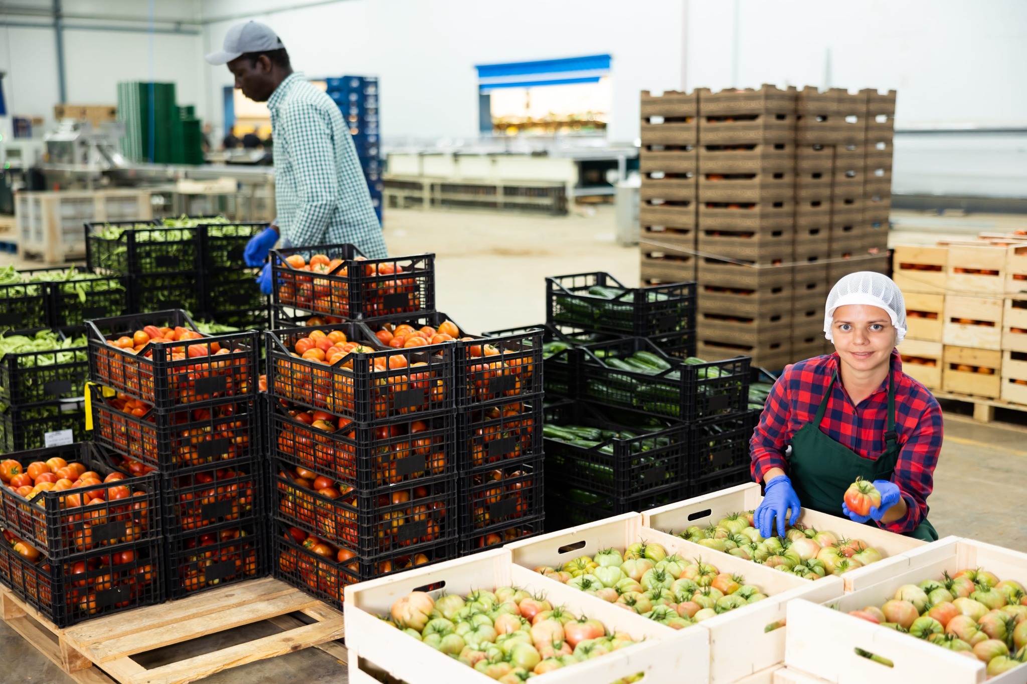 Essential Food & Pantry Supply